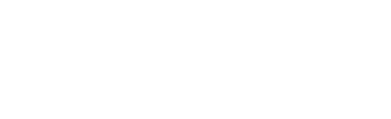 logo_litivo
